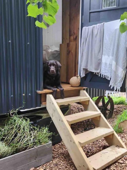 בודמין Cornwall Woodland Shepherd'S Hut Deirdres Hut מראה חיצוני תמונה