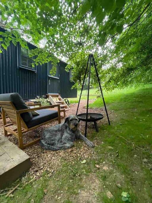 בודמין Cornwall Woodland Shepherd'S Hut Deirdres Hut מראה חיצוני תמונה