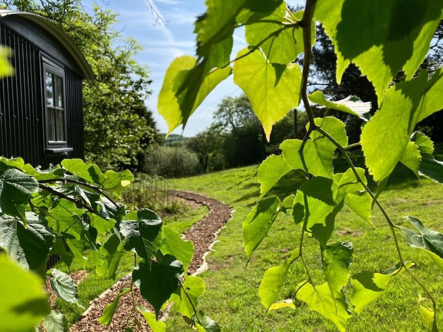 בודמין Cornwall Woodland Shepherd'S Hut Deirdres Hut מראה חיצוני תמונה