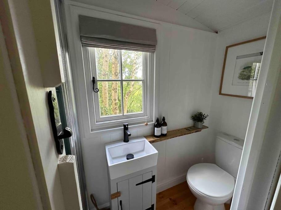 בודמין Cornwall Woodland Shepherd'S Hut Deirdres Hut מראה חיצוני תמונה