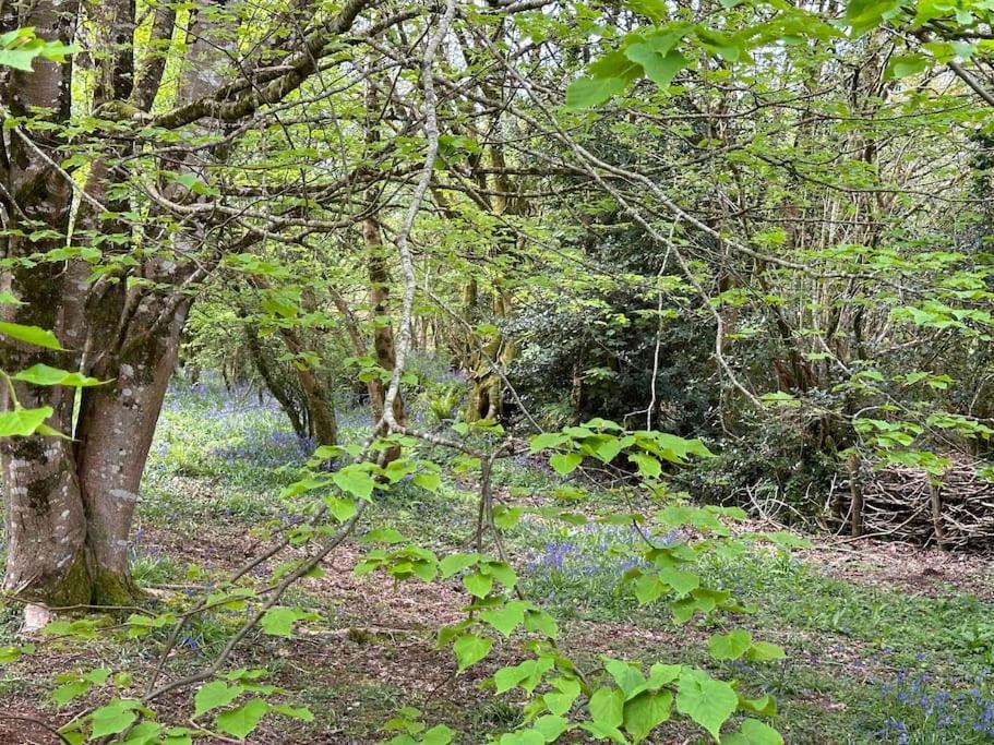 בודמין Cornwall Woodland Shepherd'S Hut Deirdres Hut מראה חיצוני תמונה